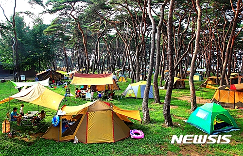 【영동=뉴시스】