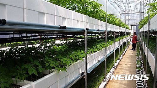 【보령=뉴시스】권교용 기자 = ggy0119@newsis.com