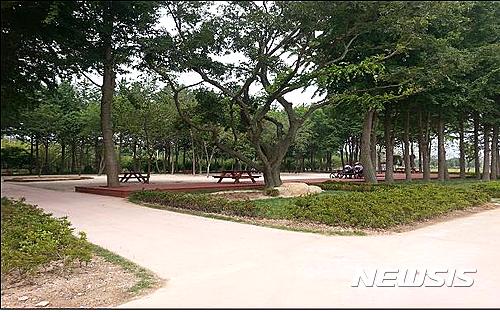 【울산=뉴시스】유재형 기자 = 울산시는 3억원의 예산을 들여 태화강 철새공원 내 은행나무 주변에 휴게데크, 황토포장 및 마사토 포장, 피크닉테이블, 등의자 등을 설치했다고 25일 밝혔다.2016.06.24.(사진= 울산시 제공)&nbsp; photo@newsis.com