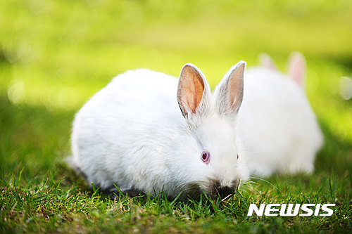 【서울=뉴시스】원추의 '오늘의 운세' 2016년 7월8일 금요일 (음력 6월5일·신묘)&nbsp; ▶쥐띠 = ㄱ·ㅈ·ㅊ·ㅎ성씨 새로운 길 시작을 잘해야 빠른 성장을 할 수 있는 법. 용기 있게 과감히 투신함이 좋을 듯. 지금 힘든 일 주위 선배가 도우면 좋을 듯. 5·7·9월생 용·원숭이·닭띠와의 한계를 넘어야 한다. 사랑을 원하면 자신부터 진실해져라.&nbsp; ▶소띠 = ㄷ·ㅅ·ㅇ·ㅊ성씨 좋은 풍토라면 과감히 받아들여라. 도전은 자신을 발전시킬 수 있는 발판이 될 것이다. 2·5·8월생 친형제간이라도 금전관계로 시비가 있겠다. 한보 양보하는 것이 상책. 서향이 길향이고 파란색이 행운의 색깔이다.&nbsp; ▶범띠 = 떡잎을 보면 그 나무의 성질을 읽을 수 있듯 ㅅ·ㅍ·ㅎ성씨 직장인 확실한 업무처리로 상사의 눈에 들수. 50년생 본인 관리에 힘써라. 주위시선이 당신만 바라보고 있음을 알라. 병원의 문을 두드려 종합 진단을 받아보는 것도 좋을 듯.&nbsp; ▶토끼띠 = 2·4·6월생 서·북쪽 이력서 부친 곳에서 오전에 반가운 소식 올 듯. 63년생 ㄱ·ㄷ·ㅎ성씨 신경전은 그만하고 현명한 선택을 하는 것이 좋겠다. 시간을 끌다간 꿩도 닭도 놓칠 수. 사업가에게는 한층 더 중요한 의미가 되겠다. 가까운 사람이 나를 울리는구나.&nbsp; ▶용띠 = 모든 것이 자연의 순리대로 풀리면 좋으련만. 4·6·7월생 산 넘어 산이니 정상이 보이지 않는구나. 변칙을 쓰면 어떨까. ㅅ·ㅊ·ㅎ성씨와 동업하면 가능할 듯. 부부 뜻이 합해지면 한층 더 길할 수. 기분따라 한잔은 삼가고 일찍 귀가함이 좋을 듯.&nbsp; ▶뱀띠 = 육체의 흉터는 나을 수 있으나 마음의 상처는 치료하기 어려운 법. ㄱ·ㄴ·ㅊ·ㅍ성씨 마음의 화를 풀고 대화로 설득시킴이 좋을 듯. 4·5·7월생 자녀의 어려움은 부모의 사랑의 대화가 해결점이 될 듯. 오늘 금테안경은 삼가고 렌즈가 운수에 맞겠다.&nbsp; ▶말띠 = 42년생 ㅂ·ㅅ·ㅇ성씨 투기는 삼가라. 밑 빠진 독에 물 붓기이다. 가정의 경제에서도 영향을 끼칠 듯. 창고업·음식료품업은 운수 대통할 수. 5·8·11월생 순간적인 실수로 인행 후회하지 말고 신중한 판단을 하여 매사에 매진함이 좋겠다. 북쪽사람 힘.&nbsp; ▶양띠 = ㄱ·ㅁ·ㅈ성씨 사업이 잘된다 하며 안주는 미래의 문을 닫아 버리는 행위이다. 한층 더 새로운 구상으로 대처해야 할 듯. 1·5·12월생 불이익과 사고를 막을 수. 주변을 잘 살피고 자가운전자는 가급적 차는 두고 퇴근하는 것이 상책.&nbsp; ▶원숭이띠 = 잘 아는 길이라도 무서울 때가 있는 법. 3·4·6월생 여성 밤길 조심하고 일찍 귀가하라. 애정의 사귐은 도를 지나치면 님이 떠나는 날. 사탕발림 언행 넘어가지 않는 것이 본인을 지키는 길. ㄱ·ㅊ·ㅎ성씨 투자를 하려면 서적·지물포가 행운을 가져다 줄 수.&nbsp; ▶닭띠 = 믿었던 님도 배신할 수 있음을 알라. ㅁ·ㅂ·ㅈ성씨 믿는 도끼에 발등 찍히지 말고 선수쳐라. 과감히 도전하는 자만이 승리자의 특권을 누릴 수 있을 듯. 2·9·11월생 자기 사업을 변동하기엔 아직 이른 편. 허황된 꿈은 버림이 좋겠다. 소·용·돼지띠 부부는 신병수.&nbsp; ▶개띠 = 장대한 욕망은 모든 걸 가질 수 있을 듯하나 자신의 능력을 알아야 할 때. 4·10·12월생 소신껏 한가지에만 열중하는 추진력이 보강됨이 좋을 수. 사랑하는 님을 쟁취하라. 애정도 사업의 일부라 생각하고 작전과 지혜로 상대를 사로잡아야 할 때.&nbsp; ▶돼지띠 = 4·6·8월생 옛님이 갑작스레 보고 싶은 날이 될 듯. 불운의 액운이 있으니 만나지 않는 것이 좋겠다. ㄴ·ㅇ·ㅊ·ㅍ성씨 동·서쪽에서 사업자금 도움 줄 자 나타날 수. 그러나 좋다고 받으면 나중에 좋지 않은 액운이 서리니 현명한 판단이 요구됨.&nbsp; 구삼원 원장 02-959-8493, 010-5584-9393 