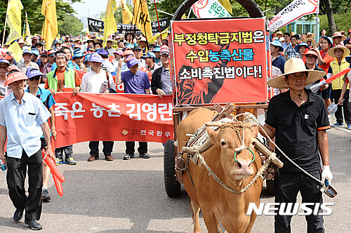 【서울=뉴시스】 박문호 기자 = 21일 오후 서울 영등포구 여의도 산업은행 앞에서 열리는 "김영란법(부정청탁금지법) 농축산물 제외 촉구 전국농축수산인 총궐기 대회로 향하는 한우농가 참석자들이 소달구지와 함께 행진하고 있다.&nbsp; 오는 9월 28일 시행을 앞둔 '부정 청탁 및 금품 등 수수 금지에 관한 법률(김영란 법)은 "언론인·사립학교 교직원 등을 포함한 공직자가 직무와 무관한 이유로 100만 원을 넘는 금품을 수수하는 경우, 직무와 유관한 사유로 100만 원 이하의 금품을 수수하는 경우, 직무 여부와 관계없이 1년 동안 300만 원을 초과해 받는 경우 등"이 모두 처벌 대상이다. 허용 가능한 액수는 "식사 3만 원 이상, 선물 5만 원 이상, 경조사비용 10만 원 이상 등"도 규제 대상이다. 2016.07.21.&nbsp; go2@newsis.com