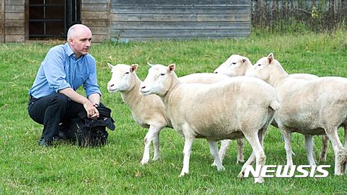 【서울=뉴시스】영국 노팅엄 대학의 케빈 싱클레어 교수가 세계 최초의 복제 동물 '돌리'의 동생 격인 데비와 데니스, 다이애나, 데이지 등 4마리의 복제 암양들을 살펴보고 있다. 이들은 조로 현상을 보였던 돌리와 달리 양호한 건강 상태를 유지하고 있다. <사진 출처 : 英 BBC> 2016.7.27