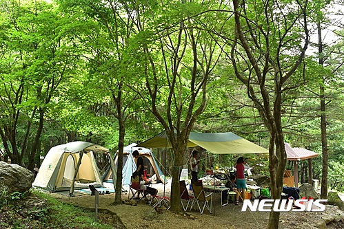 [세종=뉴시스]피서객들이 야영장에서 휴가를 보내고 있는 모습. 해당 사진은 기사 내용과 관련이 없습니다. (사진=뉴시스 DB). photo@newsis.com