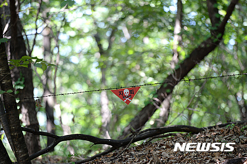 【파주=뉴시스】김진아 기자 = 육군 1사단 수색대대가 DMZ 지뢰도발 1주년을 맞아 DMZ작전 수행 훈련을 하고 있는 3일 오전 경기 파주시 1사단 수색대대 훈련장에 지뢰 주의 안내 표시가 걸려있다. 육군은 헌신적인 군인정신과 전우애를 상기하고 군사대비태세를 국민들에게 알리기 위해 본 훈련을 공개했다. 2016.08.03. bluesoda@newsis.com