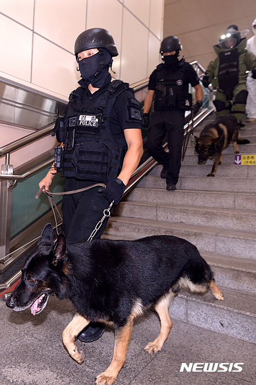 【서울=뉴시스】이영환 기자 = 23일 오후 서울 영등포구 여의도역에서 열린 '지하철 테러 대응 유관기관 합동 훈련'에서 경찰특공대원이 폭탄테러 현장으로 탐지견과 함께 진입하고 있다. 2016.08.23.&nbsp; 20hwan@newsis.com