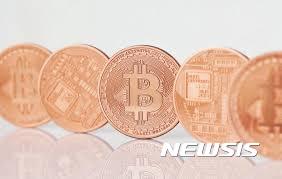 [가상화폐 광풍②]가상화폐, 안전자산인가 위험자산인가 