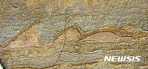 【 앨런 너트먼·AP/뉴시스】호주 울릉공대의 앨런 P 너트먼 교수가 이끄는 연구팀은 31일(현지시간) 과학전문지 네이처에 발표한 논문에서 4년 전 그린란드 이수아 지역에서 발굴한 화석을 연구한 결과 37억년 전 것이란 결론을 얻었다고 밝혔다. 사진은 화석의 모습. 너트먼 교수 연구팀은 이번에 발견된 화석의 생명체를 수심이 낮은 물에서 사는 미생물체들이 쌓인 '스트로마톨라이트 (녹조류 활동에 의해 생긴 박편상 석회암)' 로 추정하면서 화석화된 시기를 약 37억년전으로 추정했다. 2016.09.01