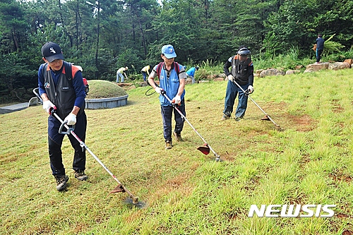 예초기로 벌초하는 모습. (사진=뉴시스DB)