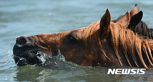 【서울=뉴시스】원추의 '오늘의 운세' 2016년 9월21일 (음력 8월21일·병오) ▶쥐띠= 모든 것을 긍정적으로 바라보도록 심신을 다스려라. 과한 불평, 불만은 역효과를 내기 십상이다. 반성하는 자세와 침착함이 요구됨. 현실에 충실함이 최선. 5, 7, 11월생 계속되는 숨바꼭질 사랑 마음으로 다스림이 좋을 듯. ㄱㅊㅎ성씨 변동하면 길할 운. ▶소띠= 도를 닦듯이 매사에 임하라. 섣부른 행동은 자제하고 남의 것을 탐욕하지 마라. 흘러가 버린 물은 다시 올 수 없다. 자기 사랑을 실천하라. 욕심이 크면 걱정만 태산처럼 쌓일 듯. 2, 3, 8월생 신경 쓰이는 일 있겠으니 언행 조심하라. ▶범띠= 눈이 있으되 앞을 볼 수 없는 형세니 몸과 마음이 피곤에 지쳐 만사가 귀찮다고 의욕마저 잃는다면 매사 성취하기 어렵다. 2, 9, 10월생 당신이 설 땅은 스스로 찾아라. 사랑에 너무 긴 눈치작전은 남을 떠나 보낼 운이니 사랑의 표현을 함도 좋을 듯. ▶토끼띠= 돈 주고도 살수 없는 것이 인간의 진실이다. 돈으로 사람의 마음을 움직인다면 위선이고 죄악. 올라가지 못할 나무는 쳐다보지 않는게 좋을 듯. 4, 8, 12월생 충동적 결정은 후회를 낳을 수. 여유와 참을성이 필요한 시기. ㅅㅂㅇ성씨 동쪽에서 귀인 손길. ▶용띠= 재고 쌓인 창고만 보아도 숨이 막힌다. 실용성과 튼튼함도 중요하지만 디자인이 좀 더 독창적이고 창조적으로 보강된다면 마케팅에서 우세하겠다. 재정은 말, 토끼, 닭띠에게 도움을 청하면 도움 있을 듯. 1, 3, 4월생 분발하라. 동쪽이 길향. ▶뱀띠= 노동은 삶의 보물이다. 어려움이 따르더라도 끈기와 인내로 이겨나가라. 자신의 삶을 개척할 주인공은 본인이다. ㄱㅂㅇ성씨 사업변동으로 생각지도 않던 사람과 결합할 운. 심사숙고해서 결정함이 좋을 듯. 1, 5, 8월생 파란색이 길한 색. 투기는 삼가. ▶말띠= 무슨 일이든 성급하게 재촉하면 실수를 동반할 수. ㅅㅂㅎ성씨 화약을 지고 불로 들어가는 어리석음을 범하지 마라. 침착함과 여유를 찾을 때다. 득이 못되는 관계라면 과감한 가지치기도 필요할 듯. 66년 1, 6, 10월생 애정에 겨울바람 불겠다. ▶양띠= 최고의 목표에 도달하기 위해 노력정진하고 마음의 안일을 물리쳐야 한다. 용맹전진하여 몸과 지혜의 힘을 갖추어야 할 때. ㄷㅊㅎ성씨 연상의 연인에게 유혹 당하지 말 것. 순간의 실수로 일생을 두고 후회할 듯. 5, 7, 9월생 동업자는 남서쪽에 행운. ▶원숭이띠= 한평생 이게 아닌데 아닌데 하면서 끌려가는 삶을 살지 마라. 불행을 자초함이다. 자기 인생만은 자주적으로 살 수 있어야 하는 법. 68년생 ㅊㅁㅎ성씨 음식, 도매업 종사자는 사업 번창수. 1, 4, 6월생 검정색은 흉색이니 피함이 좋을 듯. ▶닭띠= 좀벌레는 소리 없이 귀중한 옷을 구멍낸다. 1, 2, 5월생 자기점검과 회사의 재정, 인간관계, 사물, 그밖의 모든 것에 대해 재점검 정리정돈해 봄이 좋을 듯. ㄱㅊㅁ성씨 애정의 양보를 사랑의 힘이라 말하지 말라. 내 사랑은 내가 찾아야함이 당연한 일. ▶개띠= 정리가 되지 않은 상태에서 새로운 일을 찾아 나서는 것은 무모한 행동이다. 뒷끝이 깨끗해야 뒷말이 없는 법. ㄷㅇㅍ성씨 자존심을 회복하라. 애정 집착은 금물. 새로운 직업을 찾되 미련은 두지 말 것. 4, 6, 9월생 닭, 쥐띠가 힘이 되겠다. 파란색이 길. ▶돼지띠= 자신이 아무리 빈틈이 없고 확실한 성격이라 해도 도둑을 맞으려면 개도 짖지 않는 것과 같이 방심하는 순간 타인의 유혹 받을 수 있으니 허점을 조심. 1, 3, 5월생 상대에게 도움은 못 줄망정 언행 함부로 말 것. 현명한 판단으로 가족에게 관심을 가져라. 구삼원 원장 02-959-8493, 010-5584-9393