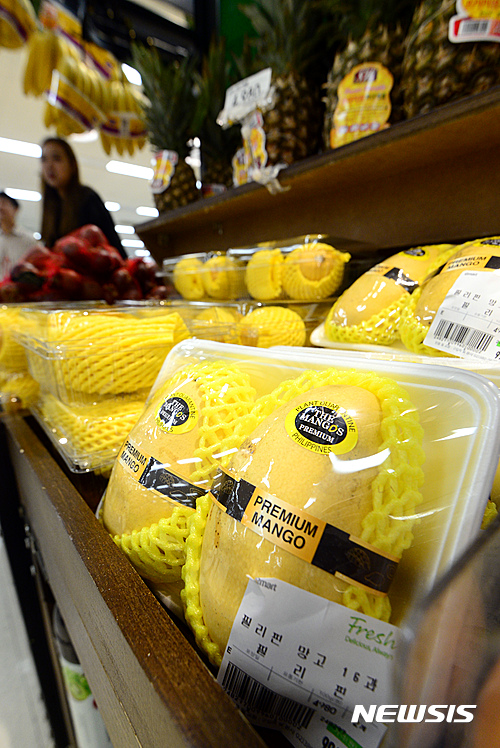 필리핀서 망고 수확량 폭증 대란…"기후변화 때문"