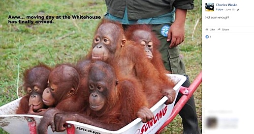 【서울=뉴시스】미국 펜실베이니아주 웨스트 요크의 찰스 와스코 시장이 버락 오바마 대통령 가족을 오랑우탄에 비유하는 사진과 글을 페이스북에 올렸다가 인종차별 논란에 휘말렸다고 CBS뉴스 등이 3일(현지시간) 보도했다. <출처: 페이스북 캡처> 2016.10.4