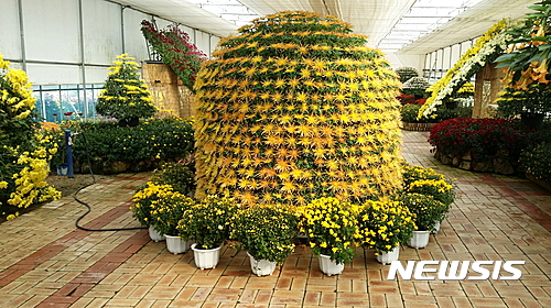 거창군은 오는 21일부터 11월 6일까지 거창사건추모공원에서 제9회 국화전시회를 개최한다고 6일 밝혔다. 