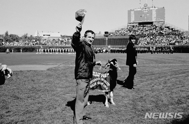 [시카고=AP/뉴시스] 1984년 메이저리그(MLB) 내셔널리그 챔피언십시리즈를 앞두고 염소와 함께 리글리 필드를 찾은 샘 시아니스. 1984.10.02