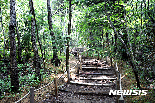 【강진=뉴시스】강진 다산초당 오솔길. mdhnews@newsis.com