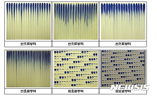 【서울=뉴시스】심동준 기자 = 서울경찰청 지능범죄수사대는 이 작가의 그림을 위조하고 이를 유통시킨 화가 박모(56)씨와 김모(58)씨 등 3명을 사서명위조, 위조사서명행사, 사기 혐의로 구속했다고 15일 밝혔다.  박씨는 이 작가의 도록을 참고해 그림을 위조했고 흰색 돌가루와 청색 계열의 염료를 혼합해 만든 물감으로 진품과 유사한 질감을 구현하려 했던 것으로 전해졌다. (자료 = 서울경찰청 지능범죄수사대) 2016.11.15 s.won@newsis.com