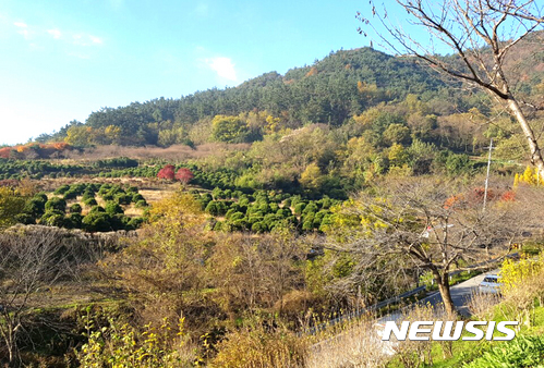 [나주=뉴시스]이창우 기자 = 천년을 이어온 문화유산으로 평가받는 '나주 사직단(社稷壇)'이 있던 터를 품고 있는 것으로 전해지는 금성산 월정봉 기슭의 전원주택단지 개발 예정지 (사진=뉴시스DB)