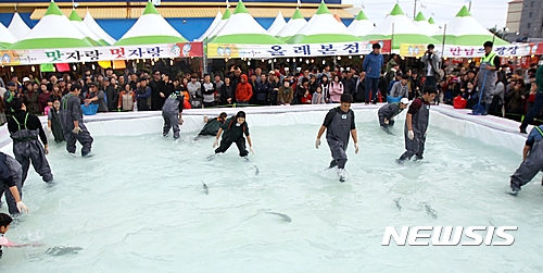 지난해 열린 제16회 최남단 방어축제의 하이라이트 '방어맨손잡기 체험'. <뉴시스 DB>