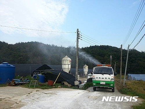 조류인플루엔자 차단을 위해 방역을 하는 모습.