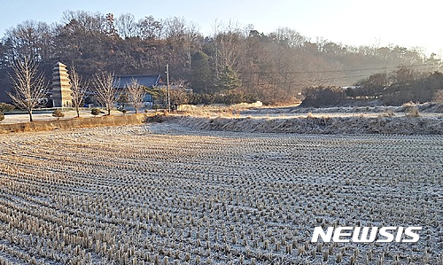 【제천=뉴시스】강신욱 기자 = 충북 제천시가 장락동 65-2 일대 장락사지 4차 발굴조사에 나설 계획이어서 추가 유구 발굴에 관심이 쏠리고 있다. 사진은 29일 칠층모전석탑과 남쪽 4차 발굴조사 대상지. 2016.11.29.&nbsp; ksw64@newsis.com