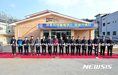 경북 군위군 유용미생물 배양소 준공식이 1일 유관 기관단체장과 시설원예농가, 축산농가 등 200여명이 참석한 가운데 군농업기술센터에서 열렸다. 2016.12.01 (사진= 군위군 제공)