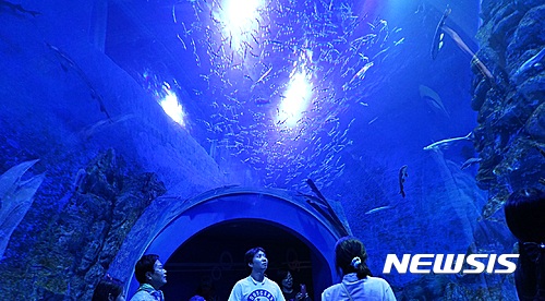 【양양=뉴시스】 강원 양양군은 관광 인프라 확충을 위해 강현면 주청리 일원 군유지 1만7267㎡에 민간자본 433억원을 투자해 아쿠아리움을 짓는다고 10일 밝혔다. 사진은 충북 단양군 다누리아쿠아리움. (사진=단양군 제공)