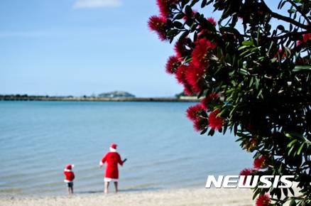 【서울=뉴시스】뉴질랜드에서 맞이할 수 있는 한 여름의 이색적인 크리스마스 풍경(Credit: Susanna Burton)