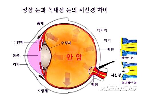 【세종=뉴시스】