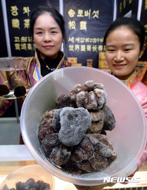 【서울=뉴시스】이영환 기자 = 27일 오후 서울 강남구 코엑스 B홀에서 열린 2016 FTA MEGA EXPO에서 관계자들이 송로버섯을 선보이고 있다. 'FTA MEGA EXPO'는 한국과 FTA를 맺은 나라들과 함께 지속가능한 수익기반을 창출하기 위해 개최됐다. 2016.12.27. 20hwan@newsis.com