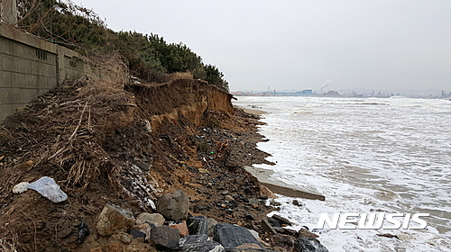[안동=뉴시스]] 지난 2017년 연안침식이 진행된 포항 도구해수욕장. (사진=포항시 제공). 2025.07.08 photo@newsis.com 