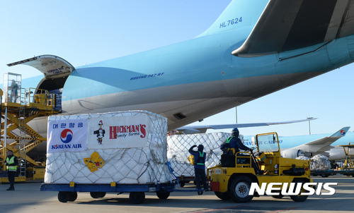 【인천공항=뉴시스】임태훈 기자 = 14일 오전 인천 중구 대한항공 화물터미널 주기장에서 AI(조류인플루엔자) 사태로 수입된 미국산 달걀이 창고로 운반되고 있다.&nbsp; 미국 로스앤젤레스(LA)를 출발해 국내로 들어온 미국산 달걀은 총 100t, 약 150만 개이다. 2017.01.14.&nbsp; taehoonlim@newsis.com