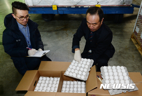 【인천공항=뉴시스】임태훈 기자 = AI(조류인플루엔자) 사태로 미국에서 수입된 달걀이 도착한 14일 오전 인천 중구 대한항공 화물터미널에서 농림축산검역본부 관계자가 미국산 달걀을 점검하고 있다.&nbsp; 미국 로스앤젤레스(LA)를 출발해 국내로 들어온 미국산 달걀은 총 100t, 약 160만개이다. 2017.01.14.&nbsp; taehoonlim@newsis.com