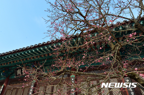 관람료 챙기는 산사 63곳, 절반이상은 카드 안받고