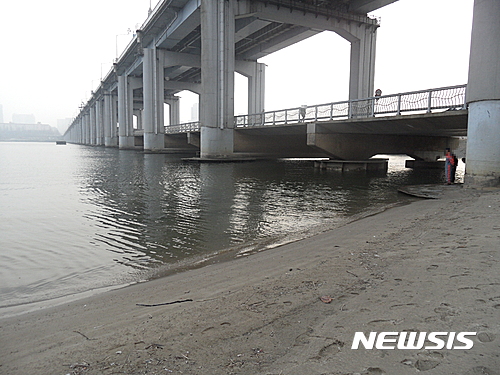 딸 건강 빈다며 한강물에 암퇘지 빠뜨린 종교인 '덜미'