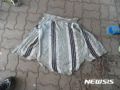 딸 건강 위해 한강물에 암퇘지 빠뜨린 종교인 '덜미'