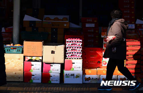 【서울=뉴시스】김선웅 기자 = 민족 대명절 설 연휴를 이틀 앞둔 25일 오후 서울 용산구에 위치한 한 전통시장이 경기침체로 인해 한산한 모습을 보이고 있다. 2017.01.25. mangusta@newsis.com