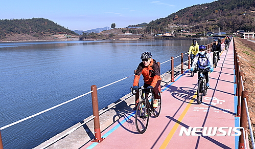 [단독]'위험천만' 자전거 음주운전 처벌 받나…법안 발의