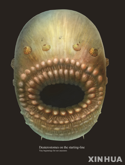 [신화/뉴시스] '사코르히투스 복원도' 2022.08.18