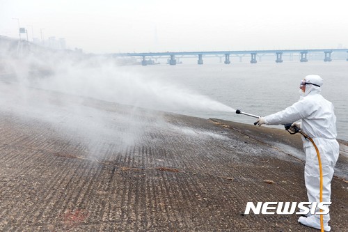 【서울=뉴시스】신태현 기자 = 지난달 한강에서 발견된 뿔논병아리 폐사체의 조류인플루엔자(AI) 바이러스가 고병원성 AI 확진 판정을 받은 4일 오전 뿔논병아리 폐사체가 발견된 서울 성동구 성동지대 앞 도선장에서 한강사업본부 직원들과 성동구 질병예방과 직원들이 방역작업을 하고 있다. 2017.02.04.&nbsp; holjjak@newsis.com 