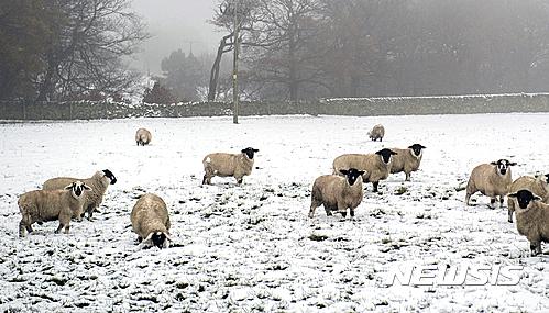 【서울=뉴시스】원추의 ‘오늘의 운세’ 2017년 2월13일 월요일 (음력 1월17일 신미)&nbsp; ▶쥐띠= 나태한 마음이 실수를 초래할 때가 있다. 적극적이고 꾸준한 전진 만이 성공의 지름길. ㅅ, ㅇ, ㅎ성씨는 현재 위치에서 벗어나 봄직하다. 3, 5, 10월생 마음에서 떠난 사람 생각마라. 자신의 길 개척할 것. 애정에서도 고독감에 지칠 때.&nbsp; ▶소띠= 성실함을 보여 인정받도록 하라. 놀고 있는 데도 한도가 있다. 3, 7, 10, 12월생 건강을 빨리 찾아 재출발에 힘쓸 것. ㅂ, ㅇ, ㅎ성씨 각별히 언행조심. 화가 난다고 할 말 다하다 큰코 다친다. 5, 8, 11월생 기쁨 줄 것. ㄱ, ㅅ, ㅈ, ㅎ성씨 힘을 내라.&nbsp; ▶범띠= 답답하다고 내 생각대로 처신하다가 주변사람 다 떠나는 격. 세상은 혼자 만으로는 못산다는 것을 이번 기회에 알 것. 2, 4, 7월생이 부담도 되지만 도움도 크다. 깊은 마음 속을 알라. 새로운 사업을 추진하고 있다면 성공 가능. ㅂ, ㅅ, ㅇ성씨를 조심하라.&nbsp; ▶토끼띠= ㄱ, ㅂ, ㅈ, ㅎ성씨 힘들어도 중단 없이 도전해 정상에 설 수 있는 기백이 있으니 더욱 분발할 것. 사회생활을 원만히 하려면 신용도가 높아야겠고 용기 또한 필요하다. 북, 동쪽 사람에게 조언을 받는다면 대성할 수. 애정에 지나친 신경은 금물.&nbsp; ▶용띠= 지금이라도 늦지 않았으니 감언이설에 춤추지 말고 제 위치로 돌아가라. ㄱ, ㅇ, ㅈ, ㅊ성씨는 가족이 말리는 사업이나 직업을 갖지 말 것. 나의 마음 스스로 달래라. 남의 일에 신경 쓰다가 7, 11, 12월생 눈물 흘린다. 동, 북쪽 투자는 길.&nbsp; ▶뱀띠= 무엇을 하든지 윗사람의 조언을 받는 것이 좋겠다. 동서남북으로 분주히 움직여 주머니에 넣는 데 바쁠 때지만 4, 8, 11월생 지출이 많고 일마다 꼬이는 격. 지혜롭게 새로이 시작하라. 1, 3, 8월생 푸른색이 길조. 용기백배하여 북쪽 사람 잡아라.&nbsp; ▶말띠= 한 몸으로 두 길을 가려하니 힘겹겠다. 현재 풀리지 않는 것만 생각 말고 미래를 고려한 근면이 최고다. 1, 4, 6, 7월생에게 도움을 준 덕분에 사업과 직장 운은 길할 듯. 사랑하는 사람에게 진실된 마음으로 약속한 말에 책임을 질 때이다.&nbsp; ▶양띠= 대인관계와 이성관계에 욕망이 지나치게 크다. 직업에 불만이 많을 듯. 4, 7, 9월생 욕심 부리지 말고 성실하게 노력하면 많은 성과 거둔다. 분수를 알고 진실되게 처세해야만 명예를 회복할 수 있다. 금전욕심은 금물. ㄱ, ㅅ, ㅎ성씨 서둘지 마라.&nbsp; ▶원숭이띠= 급하게 서두르는 것보다 침착하게 처신하라. 1, 5, 9월생 줄 것은 빨리 정리할 것. ㄱ, ㅁ, ㅇ성씨 마음 속으로 생각하는 것 밖으로 내놓지 못하면 큰병 생길 수 있으니 건강주의. 언행을 조심하라. 오랫동안 쌓아온 친분이 무너질 수 있다. 녹색이 정감 있다.&nbsp; ▶닭띠= 부부사이는 평온해지지만 사업문제로 뜻이 맞지 않아 갈등이 심각할 듯. ㅁ, ㅂ, ㅇ, ㅊ성씨는 경제권을 여자가 갖고 생활하면 지출도 없고 사업적으로 윤택해지겠다. 1, 2, 7, 8월생 부자형제 간에 금전 거래는 심사숙고해라. 뜻하지 않은 일 일어난다.&nbsp; ▶개띠= 현명한 처세가 요구된다. 제아무리 눈치가 빠르다고 하지만 마음이 두 곳에 있으니 신경 쓰이겠다. 3, 9, 12월생 자신을 가지고 대항할 것. ㅂ, ㅈ, ㅊ성씨 애정문제로 갈등 겪을 수. 가정을 찾아 안주하라. 2, 4, 6월생 검정색을 멀리함이 좋을 듯.&nbsp; ▶돼지띠= 겸손한 자세로 자기 일에만 초지일관하라. 시작은 좋았으니 세월이 가면 갈수록 힘들어지는 격. 참을 수 없지만 상대가 범, 닭, 돼지띠라면 믿고 따르라. 둘이서 화합하지 않으면 후회할 일 있을 듯. 2, 9, 12월생으로 마음고생에서 하루 빨리 해방될 것.&nbsp; 구삼원 원장 02-959-8493, 010-5584-9393&nbsp; 