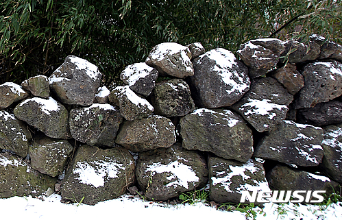 【제주=뉴시스】우장호 기자 = 제주 돌담. (사진=뉴시스DB) woo1223@newsis.com