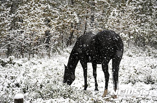 【서울=뉴시스】원추의 ‘오늘의 운세’ 2017년 2월24일 금요일 (음력 1월28일 임오)&nbsp; ▶쥐띠= 흐트러져 있던 재물이 모이는 격이며 직장인은 상사에게 칭찬도 받겠다. 동쪽에 귀인이 있겠으니 언행 조심하고 겸손한 태도를 지킬 것. 3, 5, 9월생 사랑싸움 길면 안 된다. 2, 6, 10월생 금융 투자는 길. ㄱ, ㅅ, ㅎ성씨 멀리하라. 파란색이 길.&nbsp; ▶소띠= 용기가 부족하고 결단력이 없어 잘 되어 가는 일을 망설이고 있다. 오늘은 스포츠라도 여유있게 즐기자. 그리고 용기를 얻어 내일 하려는 일을 미리 착수하라. 생각보다 진행이 빠를 것이다. ㄱ, ㅅ, ㅎ성씨의 조언을 참고할 것.&nbsp; ▶범띠= 취중에 하는 말이 백배로 효험이 있는 날이다. 공짜로 얻어먹고 푸념한 그 한마디가 그의 심중을 울려 더욱 친밀해질 듯. 연인의 마음도 열리는 날. ㅂ, ㅈ, ㅎ성씨 닭, 소띠가 힘이 되어 줄 듯 하니 꽉 잡아라. 7, 8, 9월생 노란색은 피하라.&nbsp; ▶토끼띠= 허영심만 버리면 서쪽의 ㄱ, ㅇ, ㅈ성씨가 만나자고 할 것이다. 그러나 오늘은 가족과 약속이 있으니 내일로 정하자고 하라. 가정에 충실한 모습에 더욱 감탄하리라. ㄴ, ㅁ, ㅈ, ㅍ성씨 애정과 사업에 서 갈등이 크다. 건강조심.&nbsp; ▶용띠= 근면 성실한 태도로 주위사람들의 호응을 얻겠다. ㅅ, ㅇ, ㅈ성씨 현재는 별 소득이 없을지라도 꾸준한 노력이 덕이 되어 승진하는 데에는 도움이 될 것이다. 연상, 연하와 인연되어 구설이 우려되니 항상 행동을 바로 함이 좋을 듯. 밤길 조심.&nbsp; ▶뱀띠= 남이 주는 것이 공짜라고 마구 먹어대면 소화에 지장이 크다. 지금 약을 먹더라도 때는 이미 늦은 듯. 1, 5, 9월생 진퇴양난 격. 주변을 빨리 정리하라. 도피는 불가능. 움직이려면 차는 두고 나가라. 화근이 되니 서쪽 출입 삼가.&nbsp; ▶말띠= 포용력이 있으니 어느 곳에 가더라도 대접을 받는다. 사업에도 빛이 보이니 미래의 웃음소리가 들린다. 쉬는 것도 내일을 위함이니 건강 조심하고 남녀 관계는 절대 금물이다. 3, 4, 12월생 원치 않는 일로 근심 걱정 뿐. ㅅ, ㅇ, ㅊ, ㅍ성씨를 멀리하라.&nbsp; ▶양띠= 비밀을 마음에 담지 못하는 성격으로 부부간에 있었던 일을 친구에게 말해서 그 말이 메아리가 되어 밤에 큰 소리가 날 듯하니 잡담은 금물이다. 1, 4, 8, 12월생 받을 것 못 받고 줄 사람은 많으니 한숨뿐이구나. 브라운색으로 단장해볼 것.&nbsp; ▶원숭이띠= 혼인이 늦어진 노총각 노처녀에게 경사가 있겠다. 행운을 잡아라. 친구의 도움으로 짝꿍이 생길 듯. ㄱ, ㅂ, ㅇ성씨 만약 지금 사귀는 이가 있다면 오히려 갈등이 심각하다. 기혼자는 부부의 사랑을 더욱 깊게 해라. 적극성이 필요하다.&nbsp; ▶닭띠= 때 아닌 까치 소리로 반가운 소식을 듣고 때 아닌 수입도 올리니 오랜만에 기분이 풀리는 하루. 기분 좋아 과속하면 더 몇 배 슬퍼지는 오후가 되니 조심하라. 늦은 길 조심. 1, 5, 9월생 받을 것 독촉하라. ㄴ, ㅅ, ㅎ성씨 서쪽사람이 도움 준다.&nbsp; ▶개띠= 부모나 자녀로 인해 신경 쓸 일 있으니 직장 일에 지장이 있겠다. 공경과 사랑하는 마음으로 대하라. 기회는 항상 있는 것이 아니다. ㅇ, ㅅ, ㅊ성씨 내 것도 아니면서 남의 사람 탐내다간 뒷덜미 잡혀 관재 구설 있게 되니 조심할 것. 3, 5, 9월생 주의.&nbsp; ▶돼지띠= 쓸데없이 한 말로 문제가 생긴다. 3, 5, 9월생 하늘밖에 모르는 일을 그 사람이 알고 있으니 기가 막힐 일. 북쪽 ㄱ, ㅂ, ㅈ성씨에게 사정을 말하면 수습해 줄 듯. 세상에 비밀은 없다는 이치를 알아 언행 조심. 붉은색이 안정을 준다.&nbsp; 구삼원 원장 02-959-8493, 010-5584-9393 