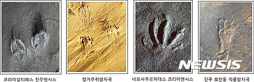 【진주=뉴시스】발자국 비교