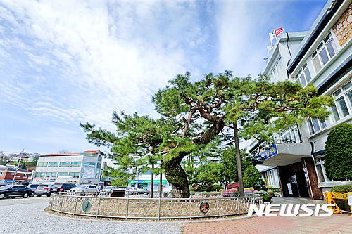 【장수=뉴시스】윤난슬 기자 = 전북 장수군은 지난해 7월 1일부터 12월 31까지 운행한 경유사용자동차의 소유자에게 '2017년도 1기분 환경개선부담금'을 부과했다고 21일 밝혔다. 사진은 장수군청 전경. 2017.03.21. (자료사진)   photo@newsis.com