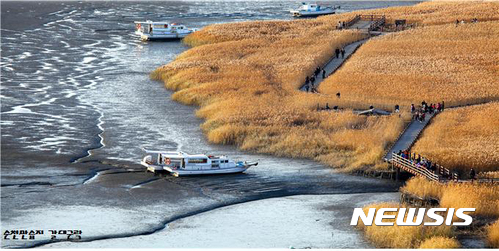 순천만습지 갈대군락