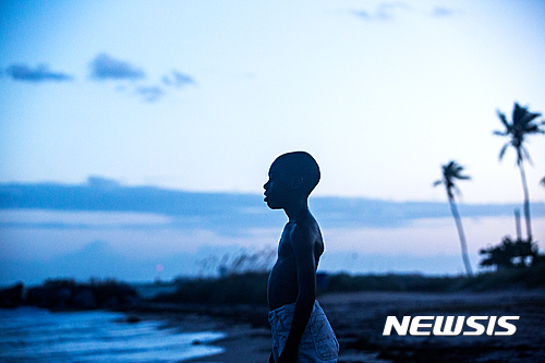 문라이트, 영화