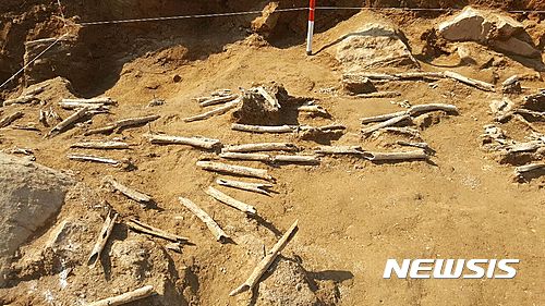 【진주=뉴시스】정경규 기자 = 한국전쟁기 민간인 학살 유해발굴 공동조사단은 28일 경남 진주시 명석면 용산리 용산고개 민간인 집단 학살 2차 유해발굴 현장 설명회를 가졌다.2017.02.28. jkgyu@newsis.com