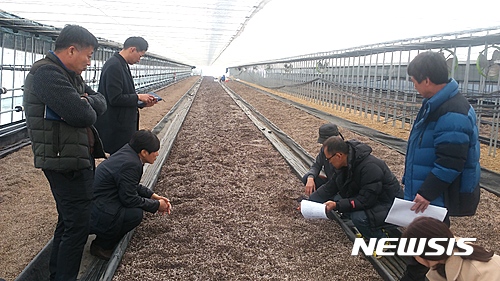 【진안=뉴시스】윤난슬 기자 = 전북 진안은 농촌진흥청 신기술 보급사업으로 올해 1억4000만원을 들여 청정묘삼 생산시설을 조성한다고 12일 밝혔다. 선지지 견학 사진. 2017.03.12.(사진=진안군 제공)&nbsp;&nbsp; photo@newsis.com