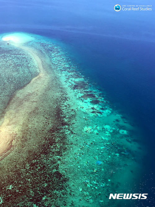 [서울=뉴시스] 호주 케이프 요크와 케이프 트리뷸레이션 사이의 해안가 산호초가 심각하게 백화돼있는 모습의 호주 연구팀 공중 촬영사진.&nbsp; 이스라엘연구진은 홍해 아카바만에서 조사한 산호초의 미생물이 산호초의 계절, 일시, 광선에 따른 반응에 의해 개체수가 달라진다는 사실을 새해 1월 1일 발간된 학술지에 발표했다. 2026. 01.02. 