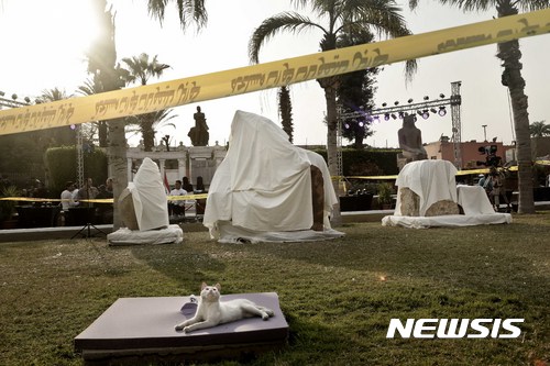 【카이로=AP/뉴시스】고양이가 16일(현지시간) 이집트 카이로에 있는 이집트 박물관에 옮겨 온 프삼티크 1세의 석상 조작들 앞에 한 돌조각 위에 앉아 있다. 이집트 카이로 빈민가 진흙 속에서 거대 고대 석상이 람세스 2세가 아닌 다른 통치자일 가능성이 제기됐다. 칼레드 알 아나니 고고학부 장관은 이날 박믈관에서 열린 기자회견에서 “석상이 제28왕조 시기인 기원전 664~610년 이집트를 통치했던 프삼티크 1세가 거의 분명하다”고 밝혔다. 2017.03.17 