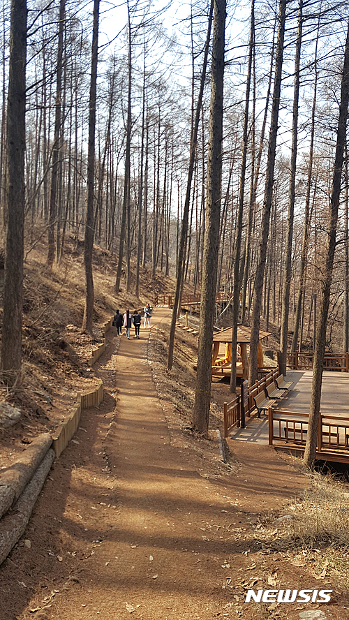 【용인=뉴시스】이정하 기자 = 22일 오전 경기 용인시 모현면 왕산리 한국외국어대학교 인근 노고산에 조성된 '태교의 숲'에서 임신부가 산책을 하고 있다. 태교의 숲은 700여m 구간에 임신부가 걷기 편하도록 나무데크와 지형을 이용해 경사가 완만하게 조성한 곳이다. 2017.03.22&nbsp; jungha98@newsis.com 